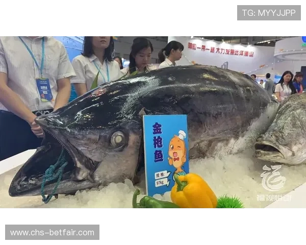 博鱼vip会员专属优惠活动不断带来超值体验